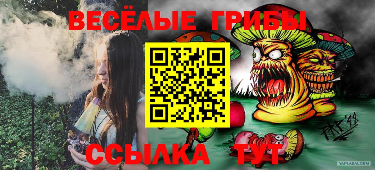 Выборг  Псилоцибиновые грибы Cubensis  Галлюциногенные грибы Magic Shrooms  Вход с VPN 