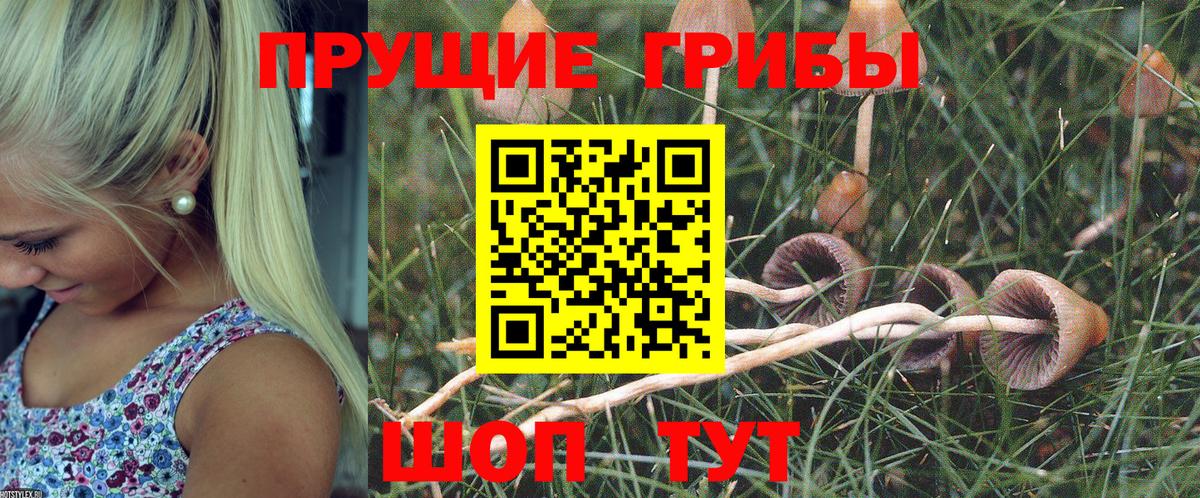 Псилоцибиновые грибы прущие грибы Выборг